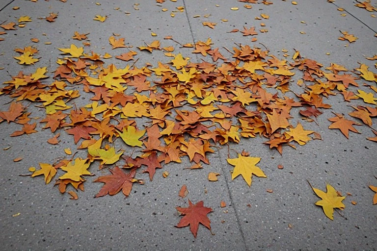 November leaves falling Instagram Captions