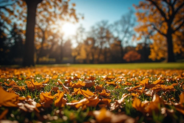 October Instagram Captions